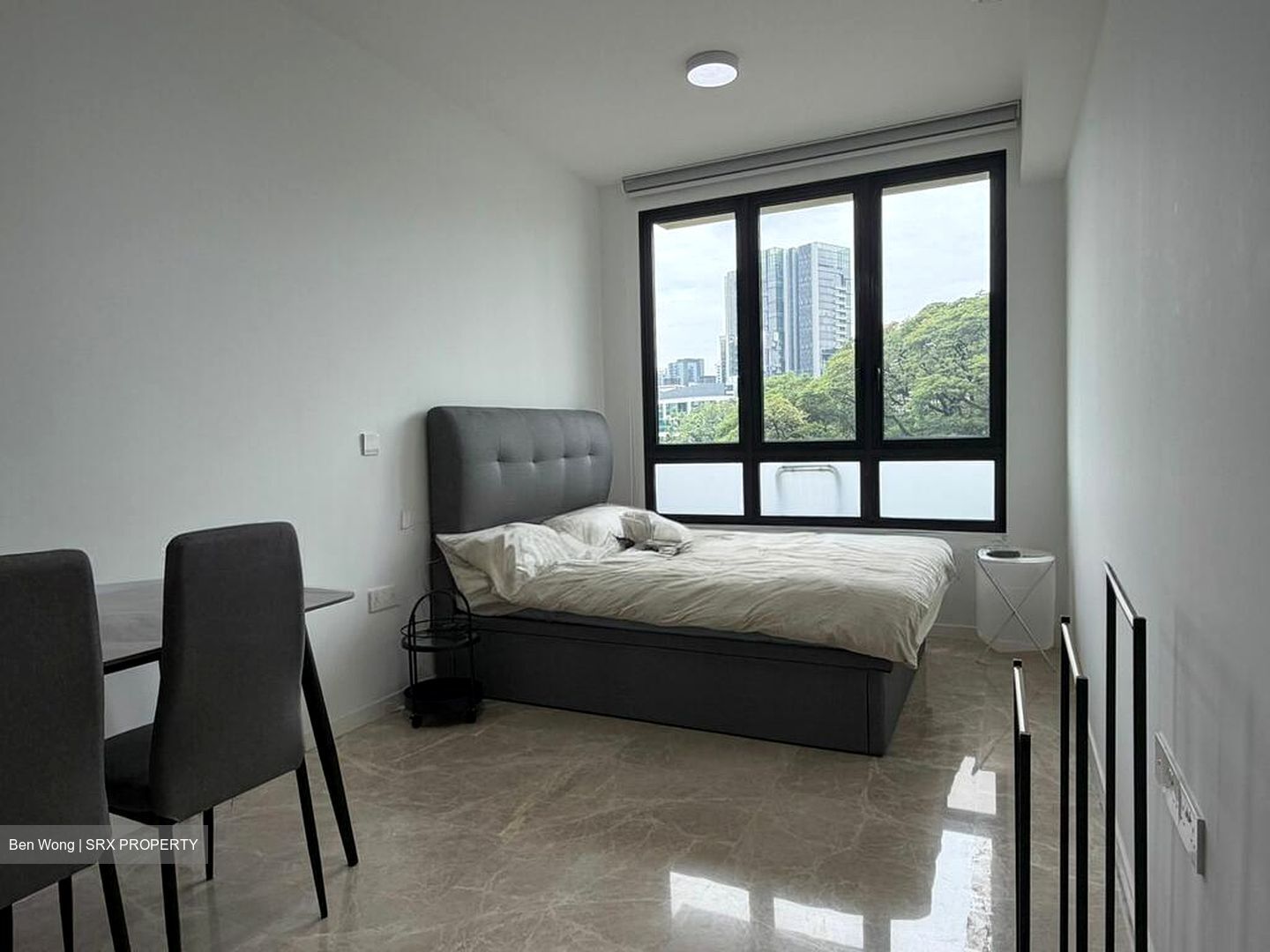 Irwell Hill Residences (D9), Apartment #521273611